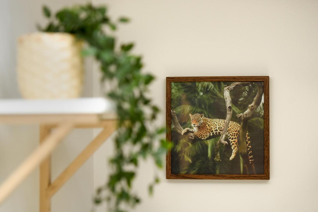 Plants Attic Studio - Best Location - Old Town Bucureşti Ngoại thất bức ảnh