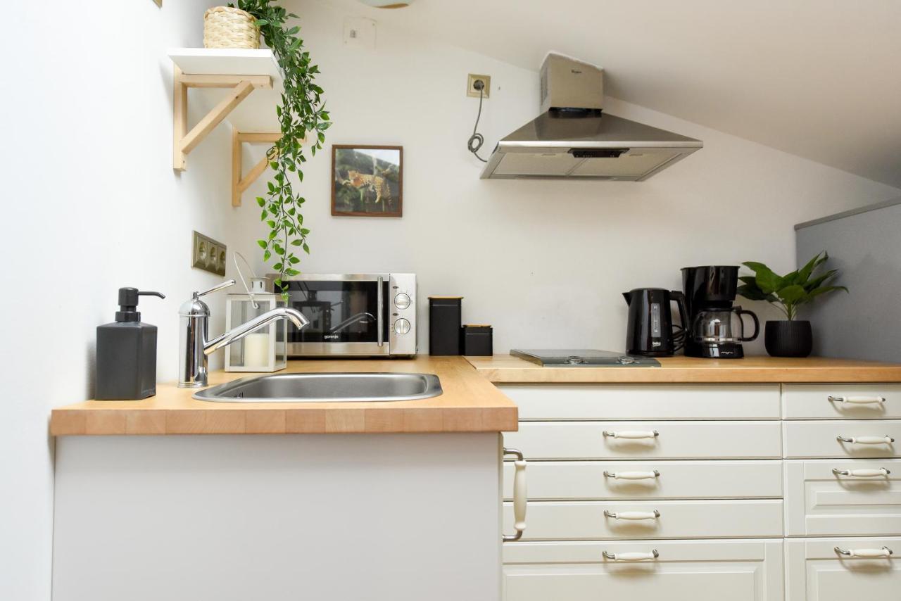 Plants Attic Studio - Best Location - Old Town Bucureşti Ngoại thất bức ảnh